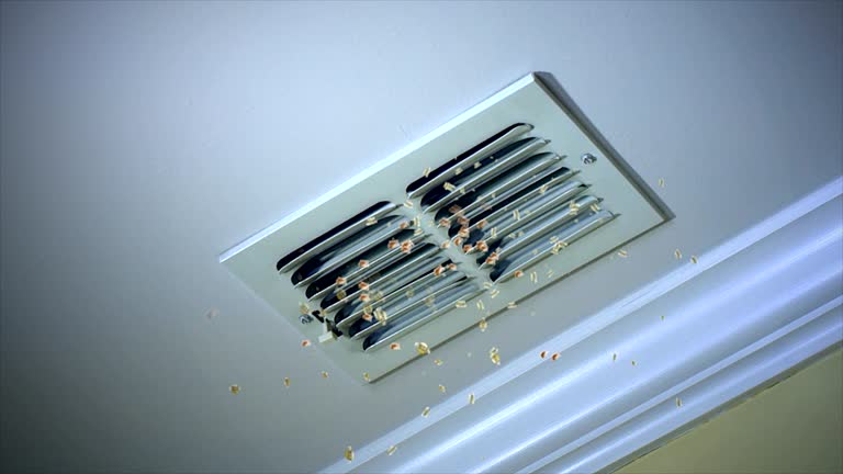 Best Ventilation Cleaning Services  in Lone Tree, CO