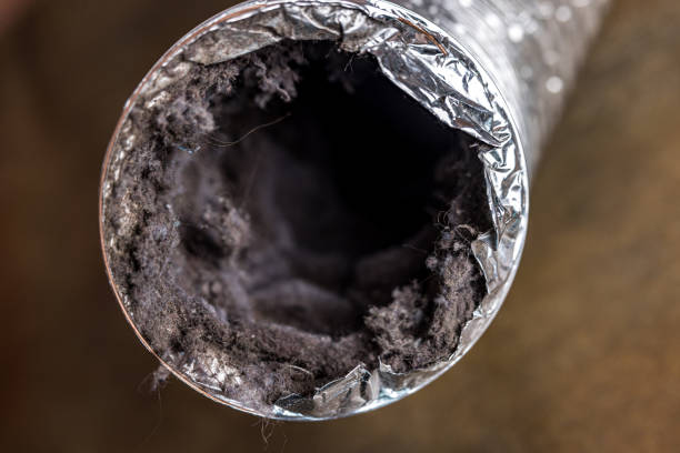 Best HVAC Air Duct Cleaning  in Lone Tree, CO